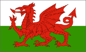 Welsh Flag